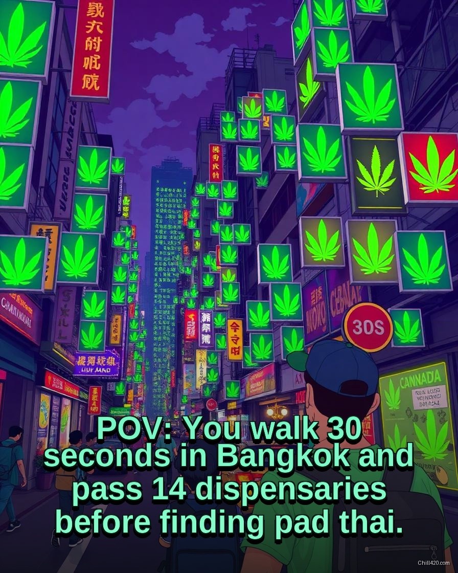 Bangkok street lined with cannabis dispensary signs